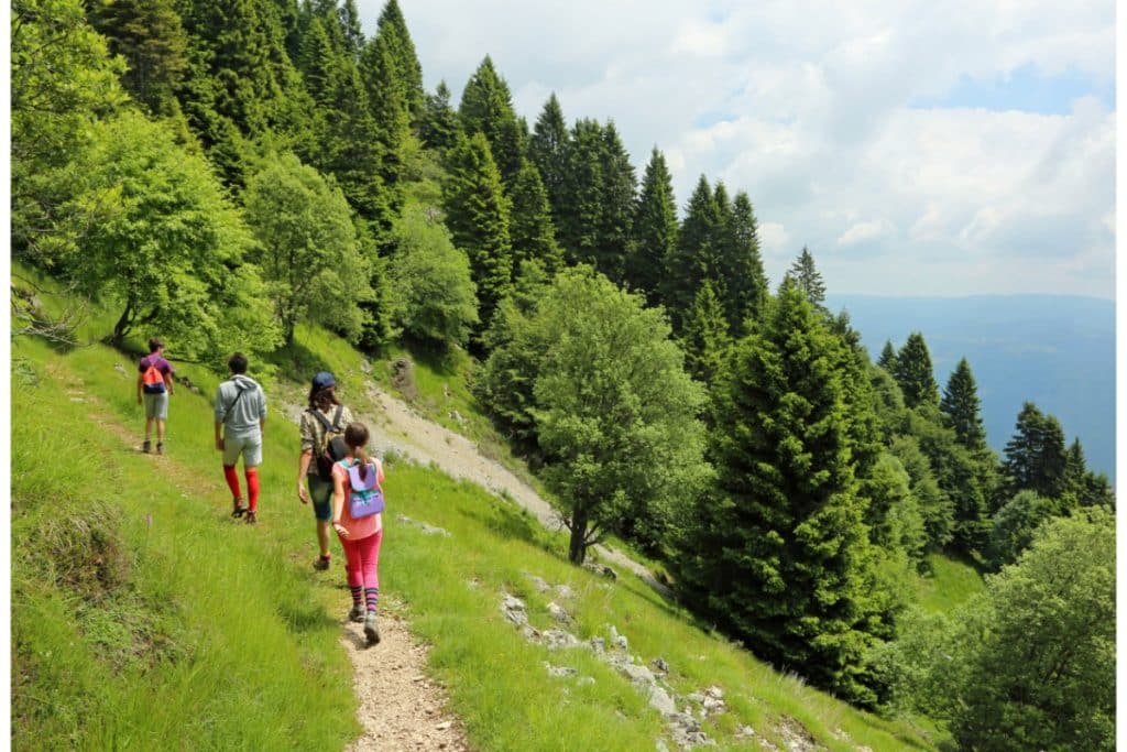 2 adultes et 2 enfants randonnent dans une forêt en montagne.
