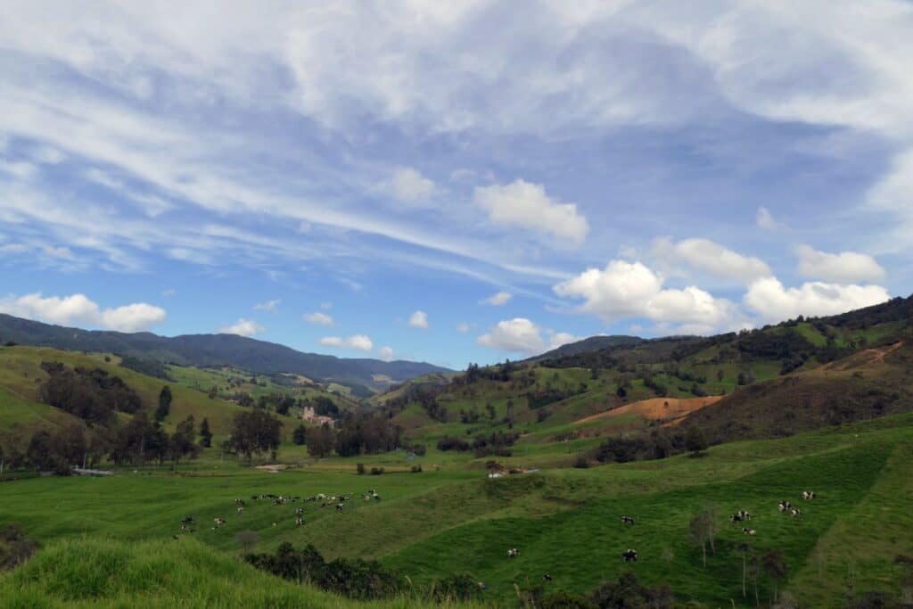 6 astuces pour pratiquer une randonnée éco responsable Conseils randonnée green hills full of pasture for cattle