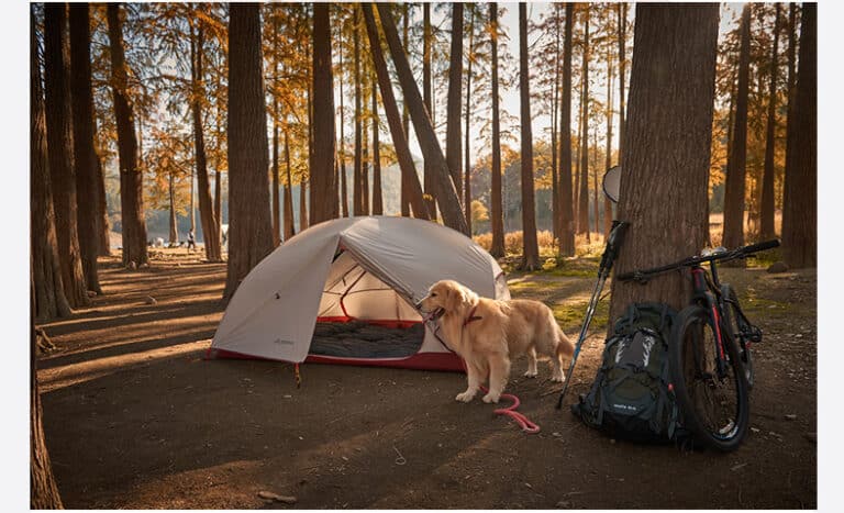 Tente de randonnée légère OEM tente de camping ultralégère pliable personnalisée